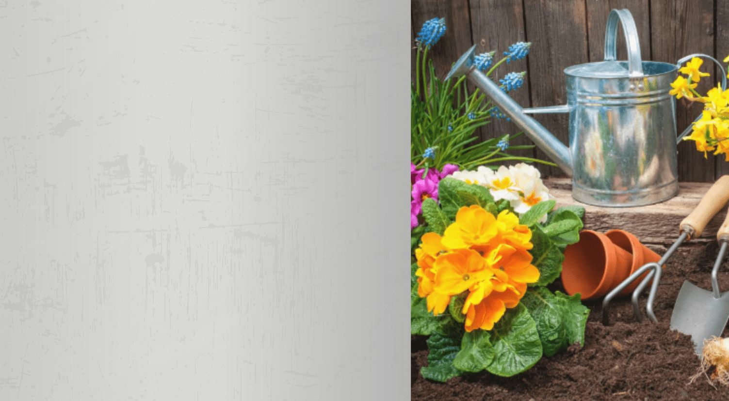 promo-banner-image